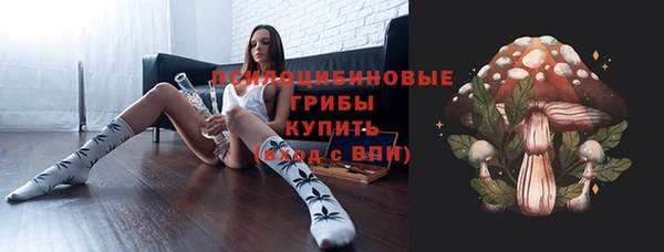 мяу мяу мука Кинешма