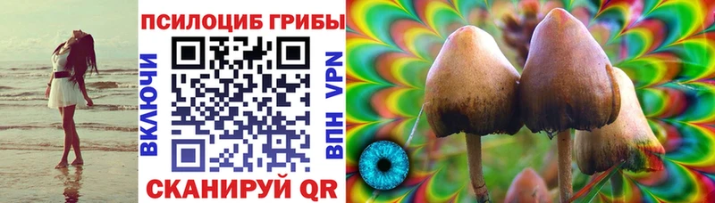 Галлюциногенные грибы Cubensis  Купить  Красноперекопск 